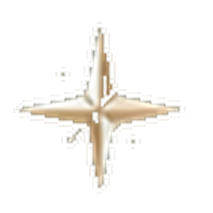 Star Matrix Health